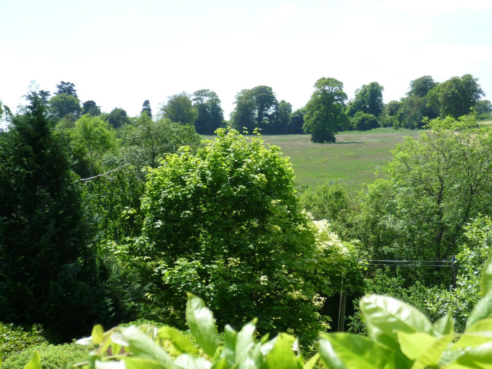 Diamond Hill Country House Waterford Ngoại thất bức ảnh
