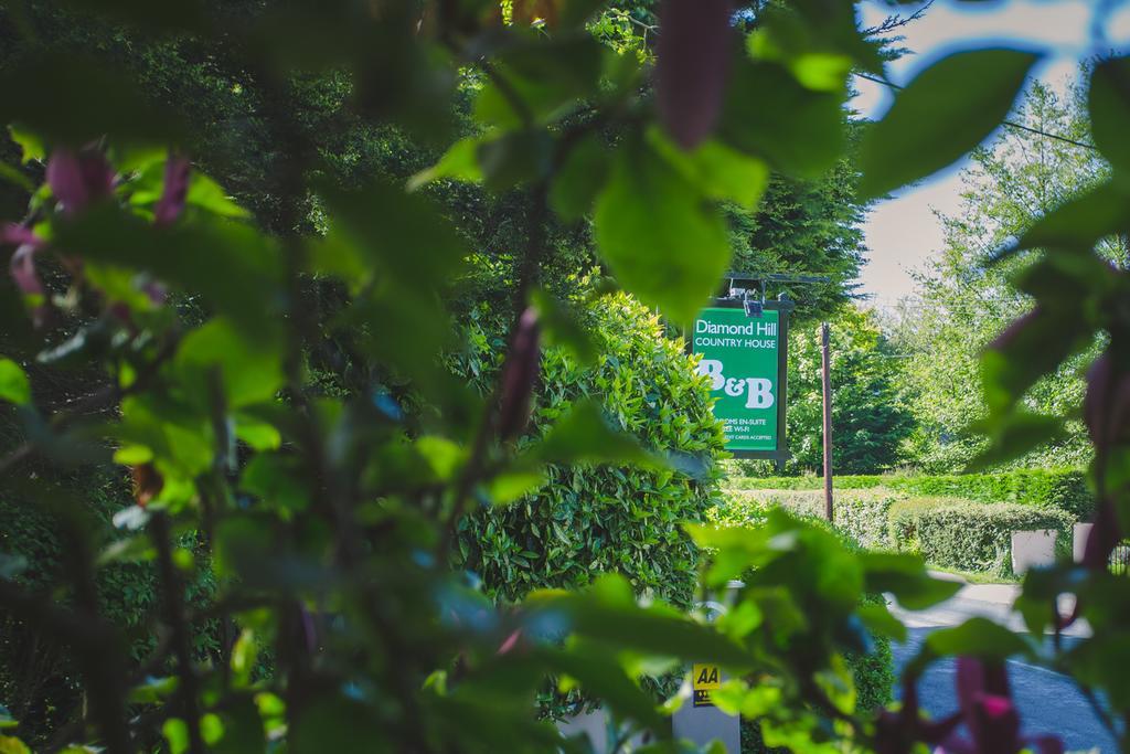 Diamond Hill Country House Waterford Ngoại thất bức ảnh