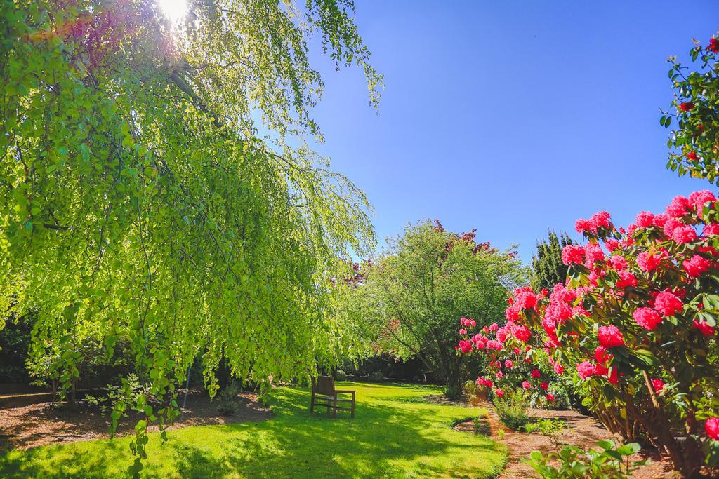 Diamond Hill Country House Waterford Ngoại thất bức ảnh
