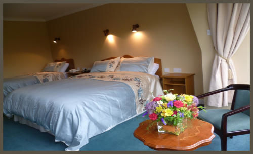 Diamond Hill Country House Waterford Ngoại thất bức ảnh