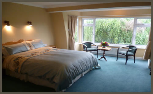 Diamond Hill Country House Waterford Ngoại thất bức ảnh